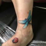 Les Hayes Dragonfly lady bug tattoo Les Hayes Dragonfly lady bug tattoo